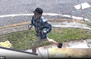 Polícia divulga imagem de homem procurado após café fervente ser derramado sobre um bebê em um parque