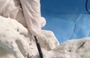 Cientistas que estudam ‘Mummies alienígenas’ do Peru tornam surpreendente achado enquanto sondam a boca