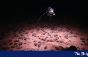 Oxigênio escuro: uma descoberta profunda que dividiu cientistas