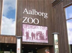 O Zoo pede aos donos de animais que doem seus animais – para que eles possam ser alimentados com predadores