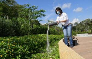 Lugares que lamentamos nos ensinam