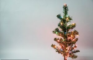 O trabalhador universitário processa por assédio racial depois que Boss a proibiu de colocar a árvore de Natal em novembro