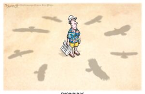 Cartoon: Snowbirds