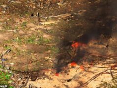 Temem-se que até dezenove pessoas tenham morrido após enorme explosão na fábrica do Tennessee BOMB