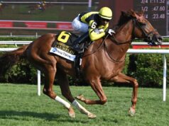 Crianças britânicas de 2 anos destacam a ação do fim de semana nas corridas N American Turf