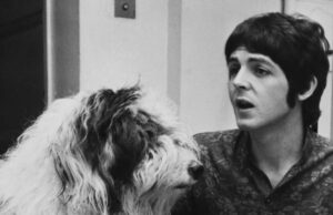 Amor de cachorros: 5 músicas que foram escritas sobre os animais de estimação dos músicos