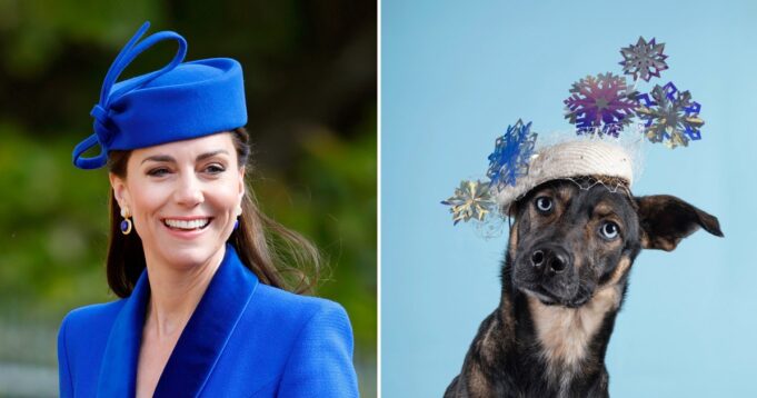 Royal-Milliner-Who-Designed-Kate-Middleton-and-Meghan-Markle-Hats-Releases-2026-Haute-Dogs-Calendar-to-Help-Shelter-Pets-feature.jpg
