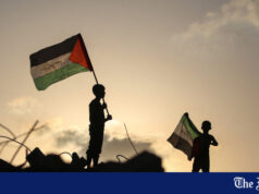 ONU apoia plano de Trump para Gaza, mas a criação de um Estado palestiniano continua a ser uma perspectiva distante