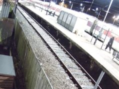 Momento chocante, passageiro inocente grita ‘não sou eu’ enquanto a polícia aplica um Taser nele na plataforma do trem de Huntingdon depois que um ataque de faca deixou 11 feridos