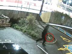 O facador que esfaqueou passageiros aterrorizados no tumulto do trem em Huntingdon ‘tinha histórico de problemas de saúde mental e era conhecido das autoridades’