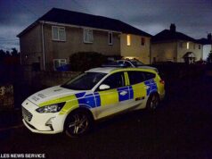 Bebê de nove meses morre após ataque de cachorro em casa no País de Gales