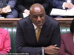 QUENTIN LETTS: Lammy disse aos parlamentares ‘nunca esqueceremos’, mas ele esqueceu sua papoula, não foi?