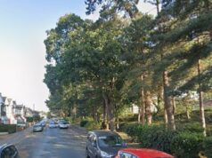 Homem arrasta mulher de 30 anos para a floresta de Bournemouth e a estupra enquanto a polícia inicia uma caça ao agressor