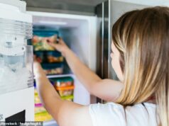 Especialistas revelam cinco truques de organização de geladeiras e freezers para fazer a comida de Natal durar mais – à medida que os principais supermercados abrem pontos de entrega de Natal
