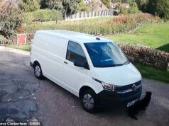 O motorista da Amazon atropela Molly, pastor alemão de 12 anos da família, deixando-os com contas de veterinário de £ 1.200 – então a empresa oferece uma cama de cachorro de £ 25 como compensação