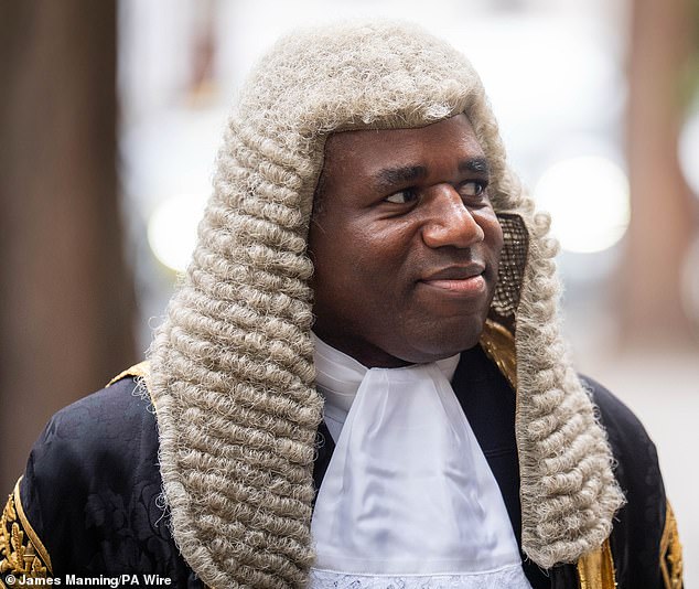 104216853-15329123-Deputy_Prime_Minister_and_Justice_Secretary_David_Lammy_previous-m-38_1764187389459.jpg