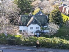 Casa de conto de fadas que inspirou Cachinhos Dourados e os Três Ursos sob ameaça em meio a planos para uma fazenda solar ‘horrenda’ de 100.000 painéis