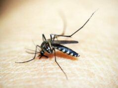 DHF pode causar problemas econômicos, esta é a importância da compreensão pública