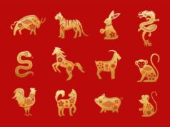 Estes 6 Signos Shio receberão energia positiva em 17 de dezembro de 2025