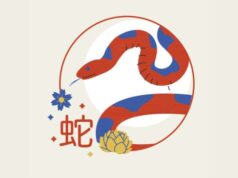 Estes 6 signos do zodíaco ganham grande fortuna em 20 de novembro de 2025, as finanças de Snake são as que mais melhoraram!