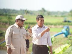 Amran construirá um ecossistema de criação de galinhas em áreas com preços altos