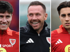 Qualificação para a Copa do Mundo: a juventude e o estilo do Cardiff City são um ‘sonho’ para o técnico do País de Gales, Craig Bellamy