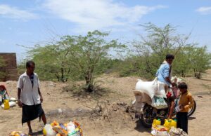ONU alerta sobre milhões de deslocados pelas mudanças climáticas com abertura da COP30 no Brasil | Notícias sobre a crise climática