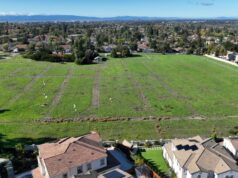 Vizinhos sobre planos para o proposto campo de críquete de Fremont