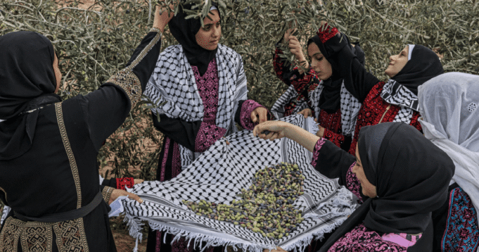 INTERACTIVE-Palestine-olive-industry-poster-1761756506.png