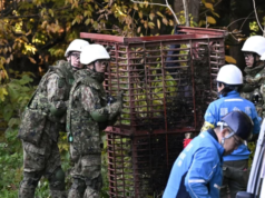Por que os militares do Japão estão combatendo ataques mortais de ursos | Assistir