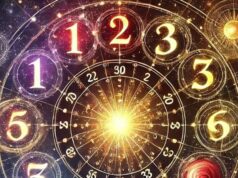 Veja o que está reservado para você