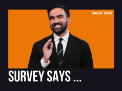 A vitória de Mamdani dirá alguma coisa sobre o futuro dos Democratas?