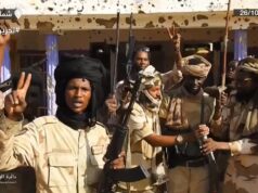 Primeiro-ministro sudanês pede que a RSF seja rotulada como grupo ‘terrorista’ | Notícias da guerra no Sudão