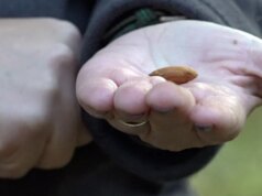 Agricultores da Califórnia apoiam o plano de redistritamento Prop 50