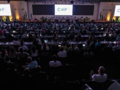 Líderes mundiais e grupos de direitos humanos reagem ao acordo climático COP30 | Notícias sobre a crise climática