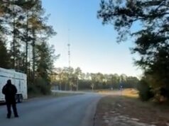 Casal do Mississippi relata tiroteio com macaco fugitivo