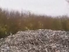 Pilhas de lixo perto de estradas do Reino Unido causam ‘desastre ambiental’