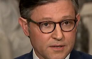 O presidente da Câmara Johnson chamou a paralisação de ‘insensata e estúpida’