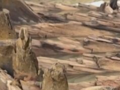 Tufão expõe naufrágios centenários no Vietnã