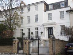 Rico empresário PERDE guerra com o conselho por causa da cerca elétrica em torno de uma megamansão de £ 44,5 milhões para impedir a entrada de raposas… mas, em vez disso, coloca um novo impedimento