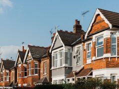 Sempre desprezei totalmente os NIMBYs mesquinhos que reclamam de tudo. Agora, minha nova guerra com meus vizinhos e seus planos de janelas ultrajantes me transformaram em uma: ALEXANDRA SHULMAN