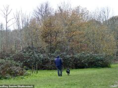 Chuva forte? Use galochas! Agência governamental diz ao público para levar um kit contra inundações nos últimos conselhos de bom senso – enquanto partes da Grã-Bretanha se preparam para chuvas de um mês hoje