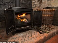 Agora o Partido Trabalhista toma medidas para proibir os queimadores de lenha: o governo de Starmer endurece as regras sobre os aquecedores de lareira à medida que as temperaturas despencam no inverno