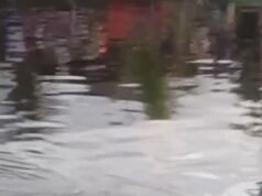 Crocodilo arrasta menino de dez anos para a morte: aldeões horrorizados descobrem fera com criança na boca