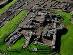 Os soldados romanos que defendiam a Muralha de Adriano foram acometidos de diarreia! A análise dos drenos de esgoto revela três parasitas intestinais que causaram estragos em seus sistemas digestivos