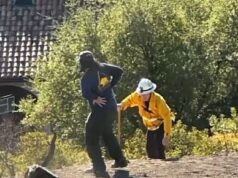 O inferno mortal de LA Palisades tomou conta da área em que os bombeiros foram restringidos por leis que protegem espécies de plantas ameaçadas de extinção