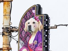 As exibições de Natal das cidades britânicas foram classificadas de “ridículas” a “desanimadoras” – incluindo o tributo “estúpido” de um designer aos seus cães e luzes festivas que “parecem roupas íntimas”