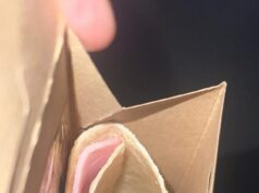 A fúria dos pais por causa do embrulho de almoço escolar ‘absolutamente vergonhoso’ com apenas uma magra fatia de presunto… mas SEU filho foi servido pior?