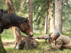 CHRISTOPHER STEVENS analisa Wild Horses, The Rockies and Me: Manes tão magníficas que deixariam Claudia Winkleman orgulhosa