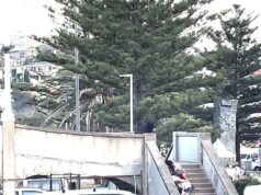 Novas imagens mostram sobreviventes de Bondi Beach se escondendo a poucos metros de homens armados que realizam o massacre – enquanto a polícia revela fotos que supostamente mostram pares treinando com armas semanas antes